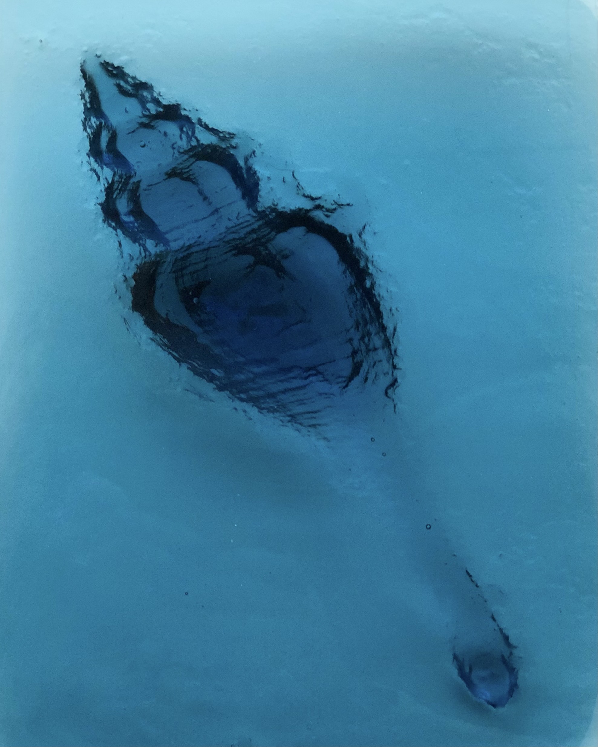 She Sells Seashells on the Seashore